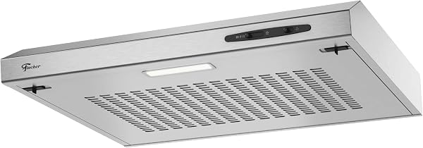Depurador Fischer Power Steel 60cm